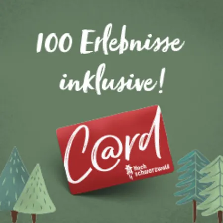 Apartamento Seewiese 01 Seeblick Mit Hochschwarzwald-card *