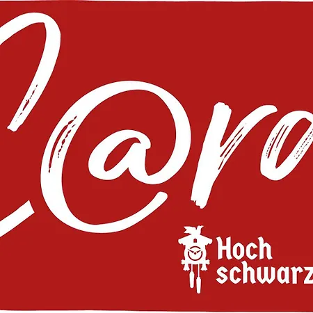 Apartamento Seewiese 01 Seeblick Mit Hochschwarzwald-card *