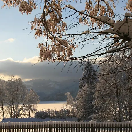 Seewiese 01 Seeblick Mit Hochschwarzwald-card * Titisee-Neustadt