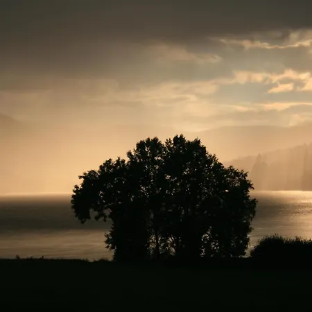Apartamento Seewiese 01 Seeblick Mit Hochschwarzwald-card
