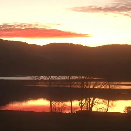 Apartamento Seewiese 01 Seeblick Mit Hochschwarzwald-card Titisee-Neustadt