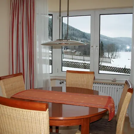 Apartment Seewiese 01 Seeblick Mit Hochschwarzwald-card Titisee-Neustadt